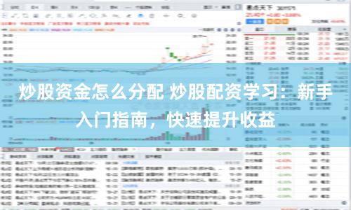 炒股资金怎么分配 炒股配资学习：新手入门指南，快速提升收益